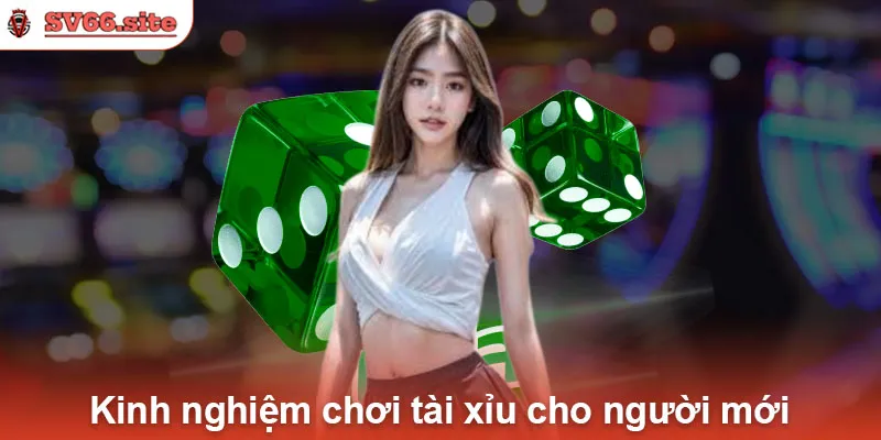 Kinh nghiệm chơi tài xỉu cho người mới