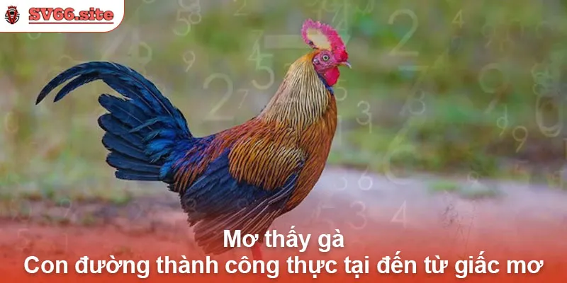 Mơ thấy gà