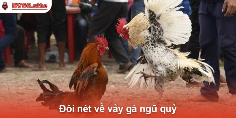 Đôi nét về vảy gà ngũ quỷ