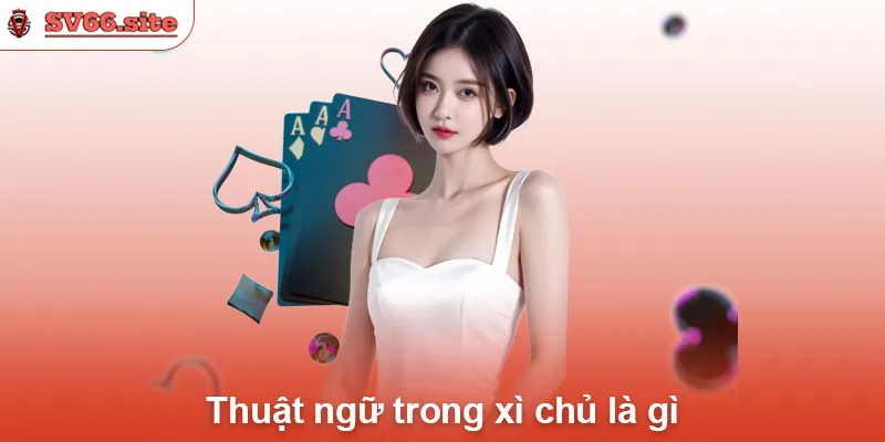 Thuật ngữ trong xì chủ là gì