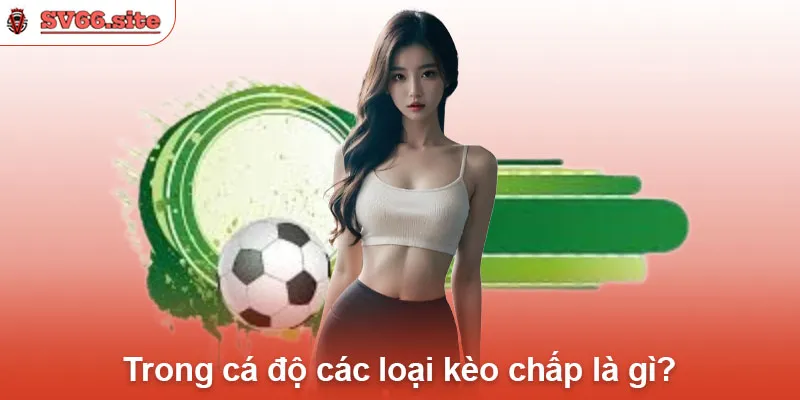 Trong cá độ các loại kèo chấp là gì?